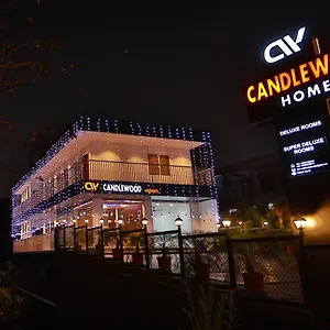 Candle Wood Munnar Anachal
